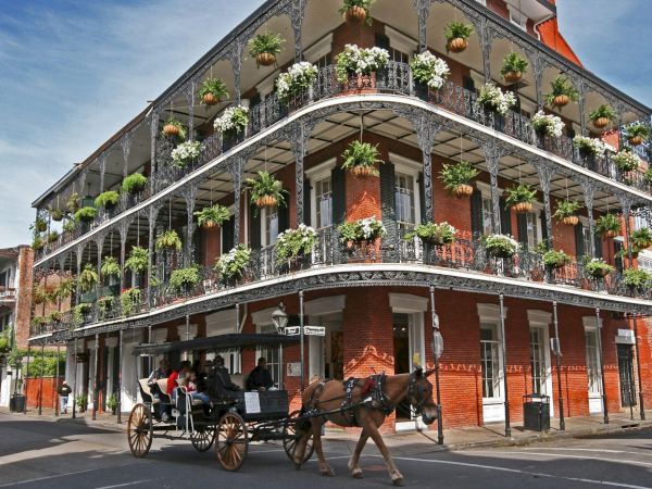 A horse-drawn carriage passes a charming, historic building adorned with greenery and ornate ironwork on its balconies.